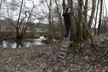 Gnezdilnice Radulja 1